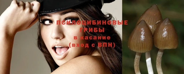 хмурый Алексеевка