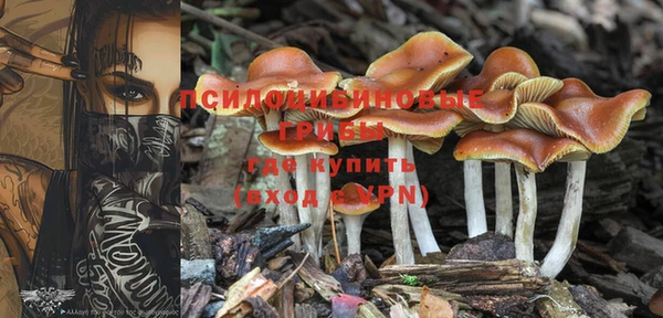 хмурый Алексеевка
