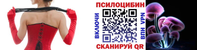Галлюциногенные грибы прущие грибы Чкаловск